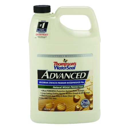 Thompsons WaterSeal Advanced Natural Water-Based Waterproofer Wood Protector 1 gal TH.A21711-16